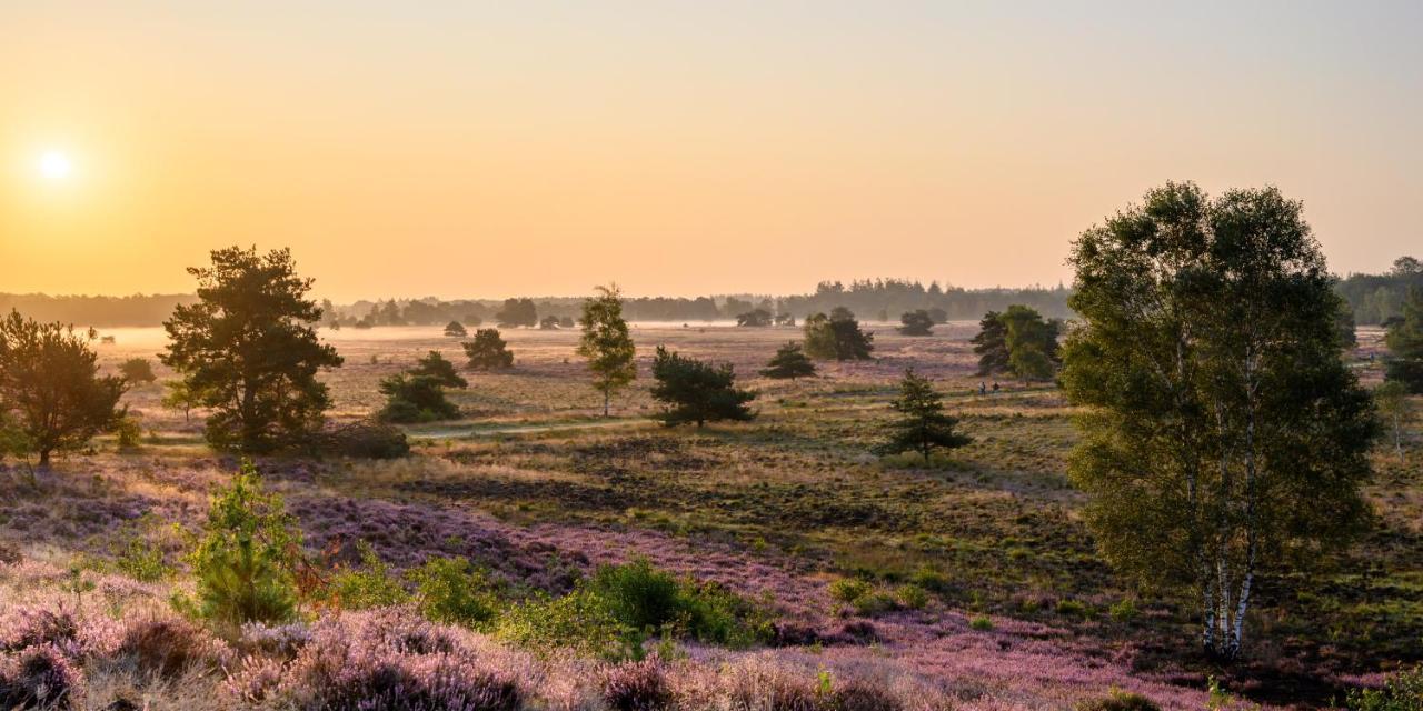 Herberg De Zwaan إلسبيت المظهر الخارجي الصورة