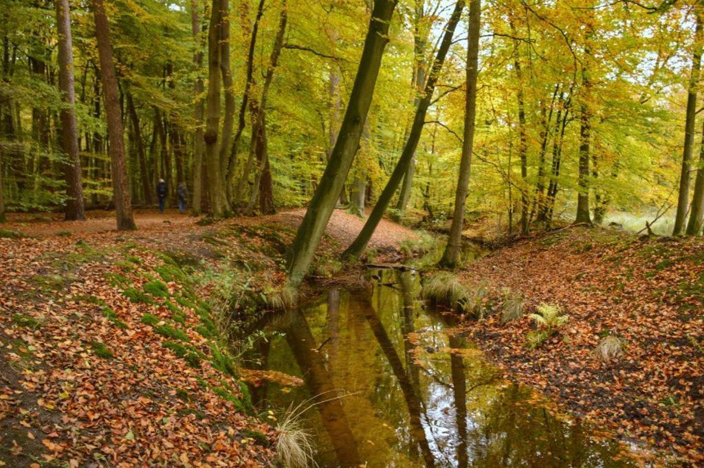 Herberg De Zwaan إلسبيت المظهر الخارجي الصورة