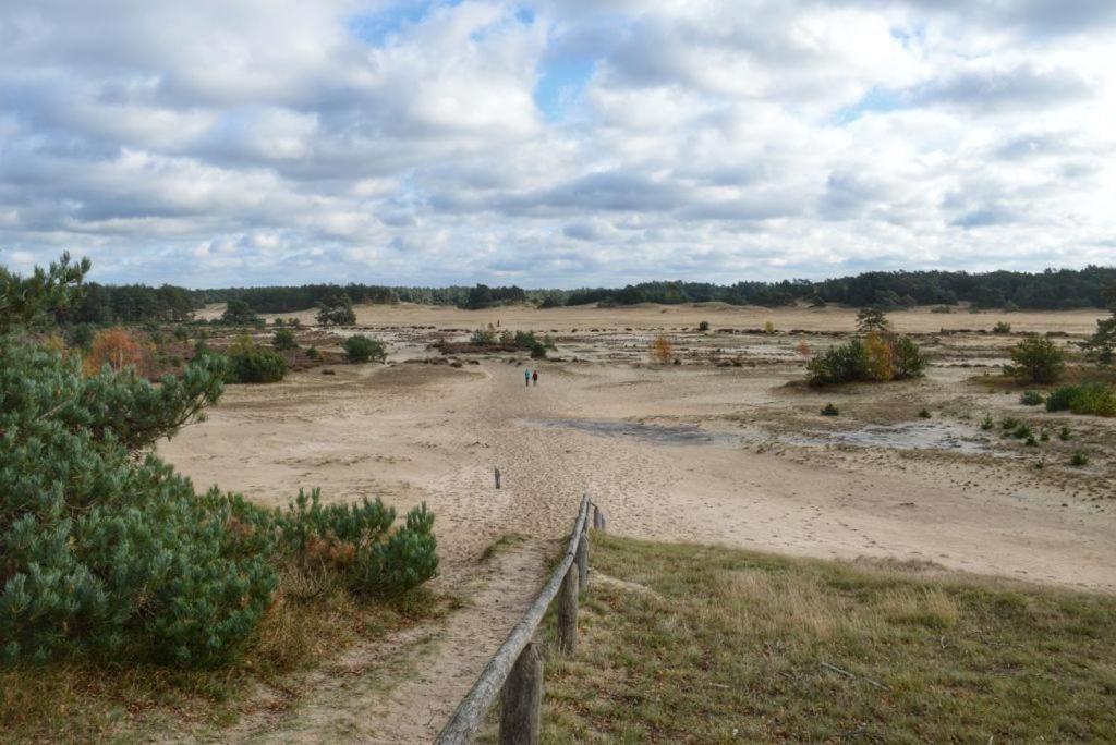 Herberg De Zwaan إلسبيت المظهر الخارجي الصورة